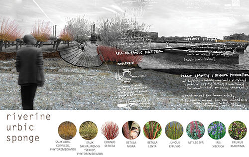 PROVIDENCE DIGS_ Designing Infrastructural Soil for Grounded Urbanism